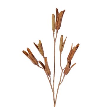 Ramo di giglio artificiale ELFIDA, marrone, 80cm