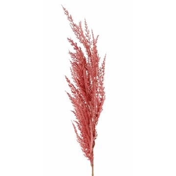 Ramo artificiale d'erba della pampa ERATO, rosa, 100cm