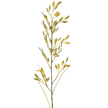 Ramo finto d'erba Chasmanthium latifolium FUXIA con spighe, giallo-verde, 100cm