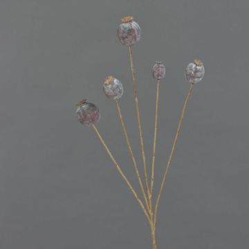 Capsula di papavero artificiale FILOMELA, marrone scuro, 75cm