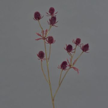 Cardo di plastica LOUKAS, bordeaux, 45cm, Ø1,5cm