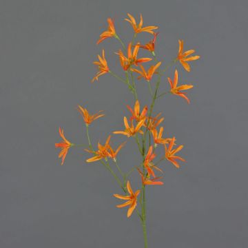 Tweedia solanoides artificiale PALLAS, arancione, 75cm, Ø5cm