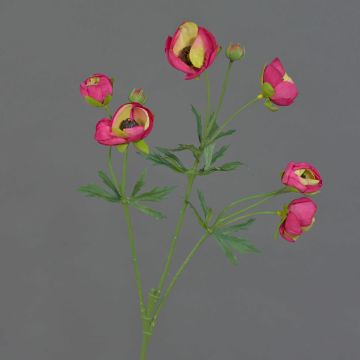 Ranuncolo finto YARIS, rosa-verde, 65cm, Ø3-4,5cm