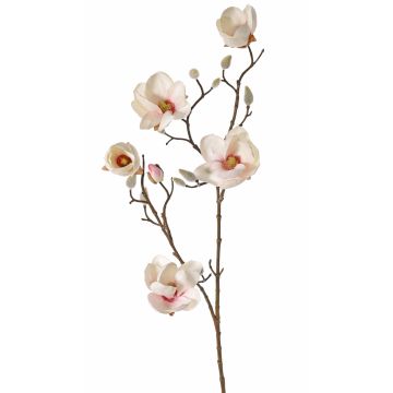 Magnolia artificiale KOSTAS, crema-rosa, 80cm, Ø5-8cm