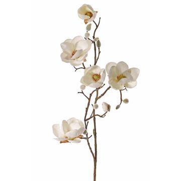 Magnolia artificiale KOSTAS, crema, 80cm, Ø5-8cm