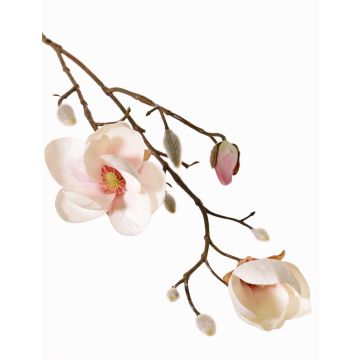 Magnolia artificiale KOSTAS, crema-rosa, 55cm, Ø5-8cm