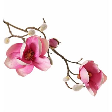 Magnolia artificiale KOSTAS, rosa-fuchsia, 55cm, Ø5-8cm