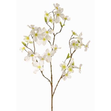 Corniolo artificiale NARIUS con fiori, crema, 85cm