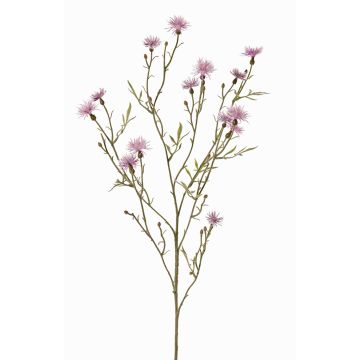Fiordaliso artificiale ZENOBIOS, rosa-viola, 80cm
