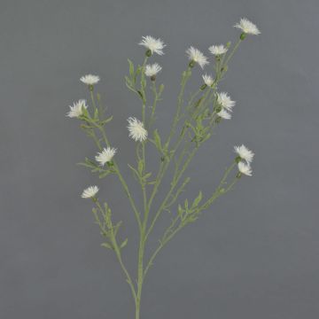 Fiordaliso artificiale ZENOBIOS, crema, 80cm