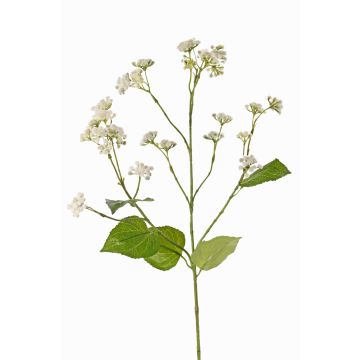 Fiore artificiale di eupatorium KORALIA, crema, 80cm
