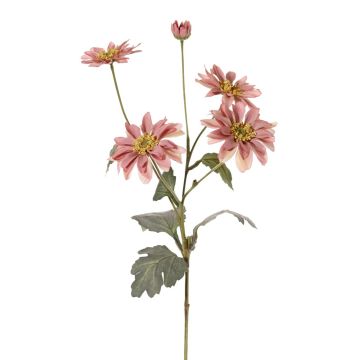 Crisantemo finto INDALI, rosa antico, 65cm, Ø6,5-8cm