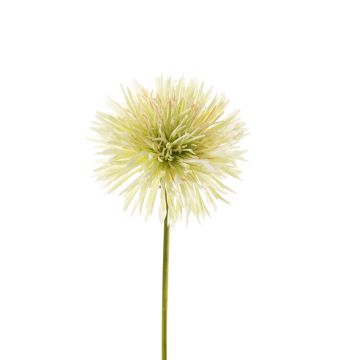 Crisantemo artificiale NANDITA, verde chiaro, 60cm, Ø15cm