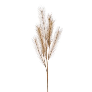 Ramo di erba della pampa artificiale ALENAS, pannocchie, marrone chiaro, 70cm