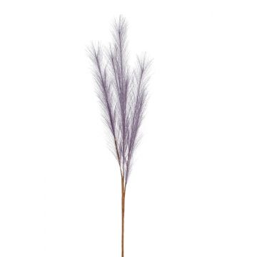 Ramo di erba della pampa artificiale ALENAS, pannocchie, viola, 70cm