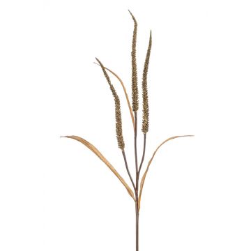 Ramo di pennisetum artificiale ANWEN con pannocchie, marrone, 85cm