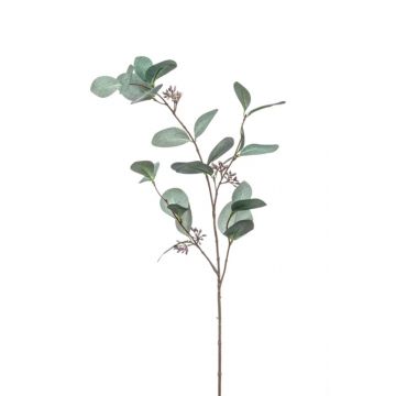 Ramo di eucalipto finto MAXEN con frutti, verde-grigio, 75cm