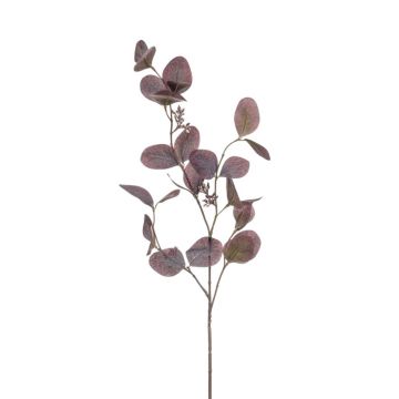 Ramo di eucalipto finto MAXEN con frutti, viola-grigio, 75cm