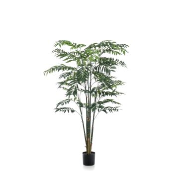 Palma di bambù decorativa MERIEL, 195cm