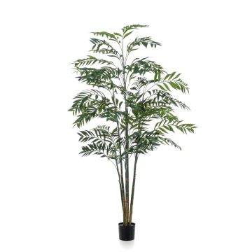 Palma di bambù decorativa MERIEL, 225cm