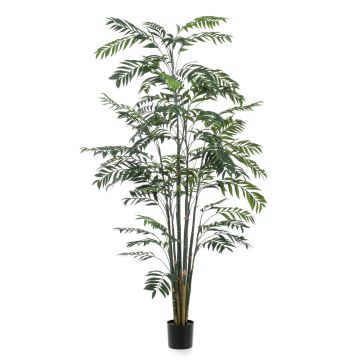 Palma di bambù decorativa MERIEL, 245cm