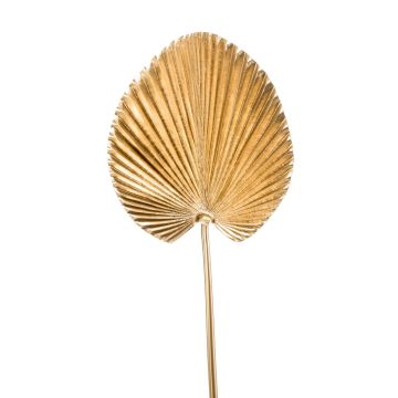 Palmizio di palma Washingtonia artificiale RHENA, oro, 75cm