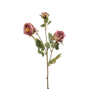Ramo di rose artificiali KONTURA, viola antico, 60cm