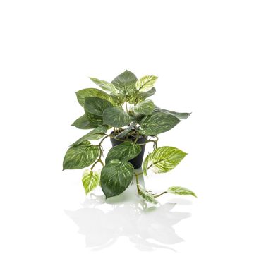 Pothos d'argento artificiale TREVA, verde-bianco, 55cm