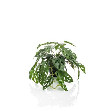 Filodendro decorativo Monstera Deliciosa TREVYN, 55cm