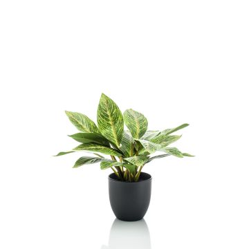 Calathea Ornata artificiale VAIDA in vaso decorativo, verde-giallo, 40cm