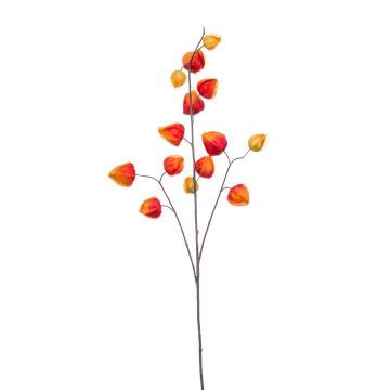 Ramo di physalis artificiale VILTE, frutti, arancione-giallo, 90cm