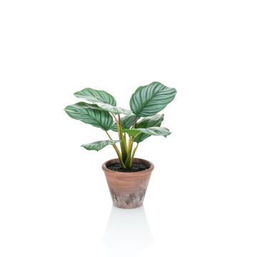 Calathea Orbifolia artificiale ESMIE in vaso di terracotta, verde-bianco, 30cm
