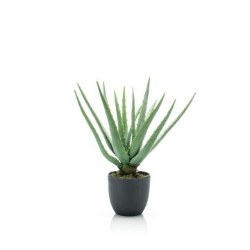 Aloe Vera artificiale EVELIO in vaso decorativo, 35cm