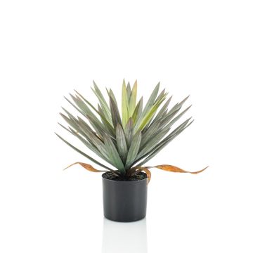 Yucca artificiale KOUKI, 50cm
