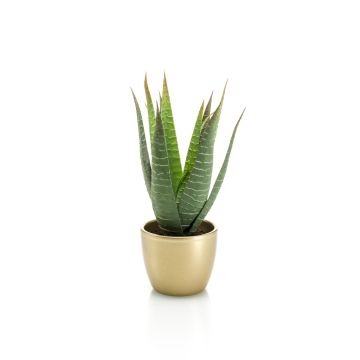 Aloe Variegata artificiale MARTINEZ, vaso in ceramica dorato, verde, 25cm, Ø17cm