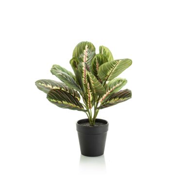 Maranta artificiale SITULA, verde-rosso, 30cm