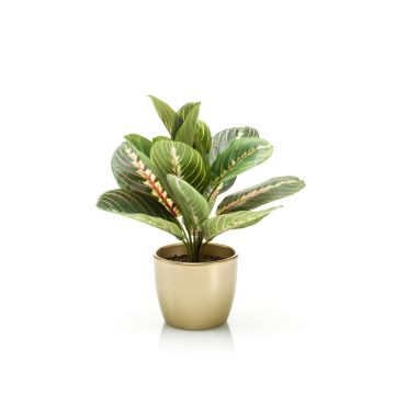 Maranta artificiale SITULA in vaso di ceramica dorato, verde-rosso, 30cm