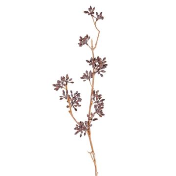 Ramo di eucalipto artificiale SOHA con frutti, marrone, 60cm