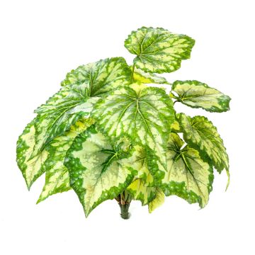 Begonia rex artificiale BEVEN su stelo, verde-giallo, 35cm