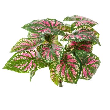 Caladium artificiale BECRUX su stelo, verde-rosa, 35cm