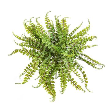 Felce a bottone decorativa IMAI su stelo, verde, 40cm, Ø50cm