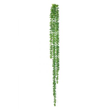 Pianta pensile di senecio artificiale ARNEB su stelo, verde, 90cm