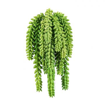 Sedum morganianum artificiale DIPHDA su stelo, difficilmente infiammabile, verde, 30cm