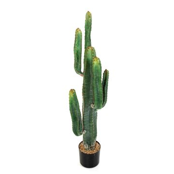 Cactus a colonna decorativo ELKURUD, verde-rosso, 115cm