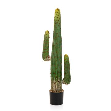 Cactus a colonna artificiale GOMEISA, verde-rosso, 125cm