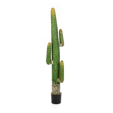 Cactus a colonna artificiale GOMEISA, verde-rosso, 170cm