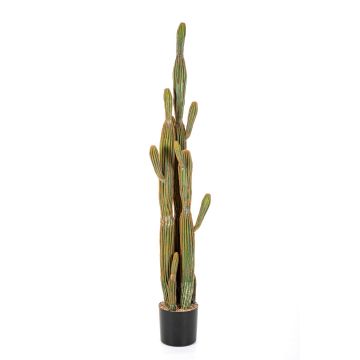 Cactus artificiale San Pedro GRUMIUM, verde-marrone, 150cm