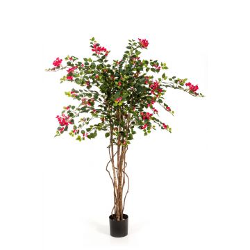 Bougainvillea artificiale OGMA, tronchi naturali, fiori, rosa, 150cm