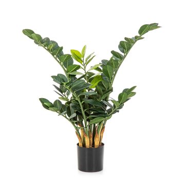 Zamioculcas Zamiifolia artificiale AKONO, 65cm