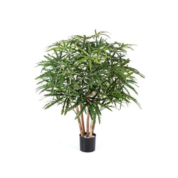 Aralia artificiale MAKASIM, tronchi veri, verde, 85cm